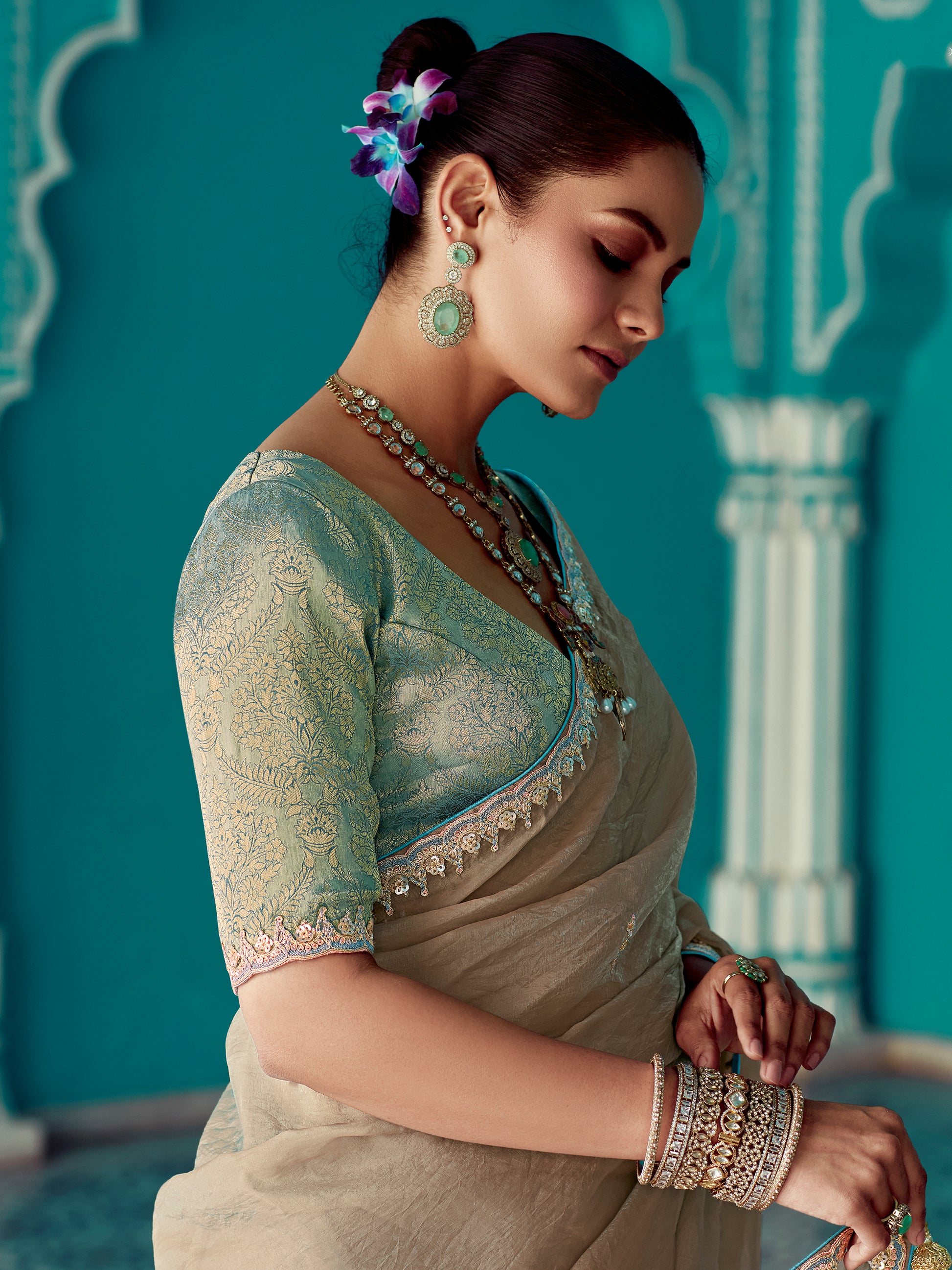 Stunning Beige Embroidered Border Tissue Silk Festive Wear Saree