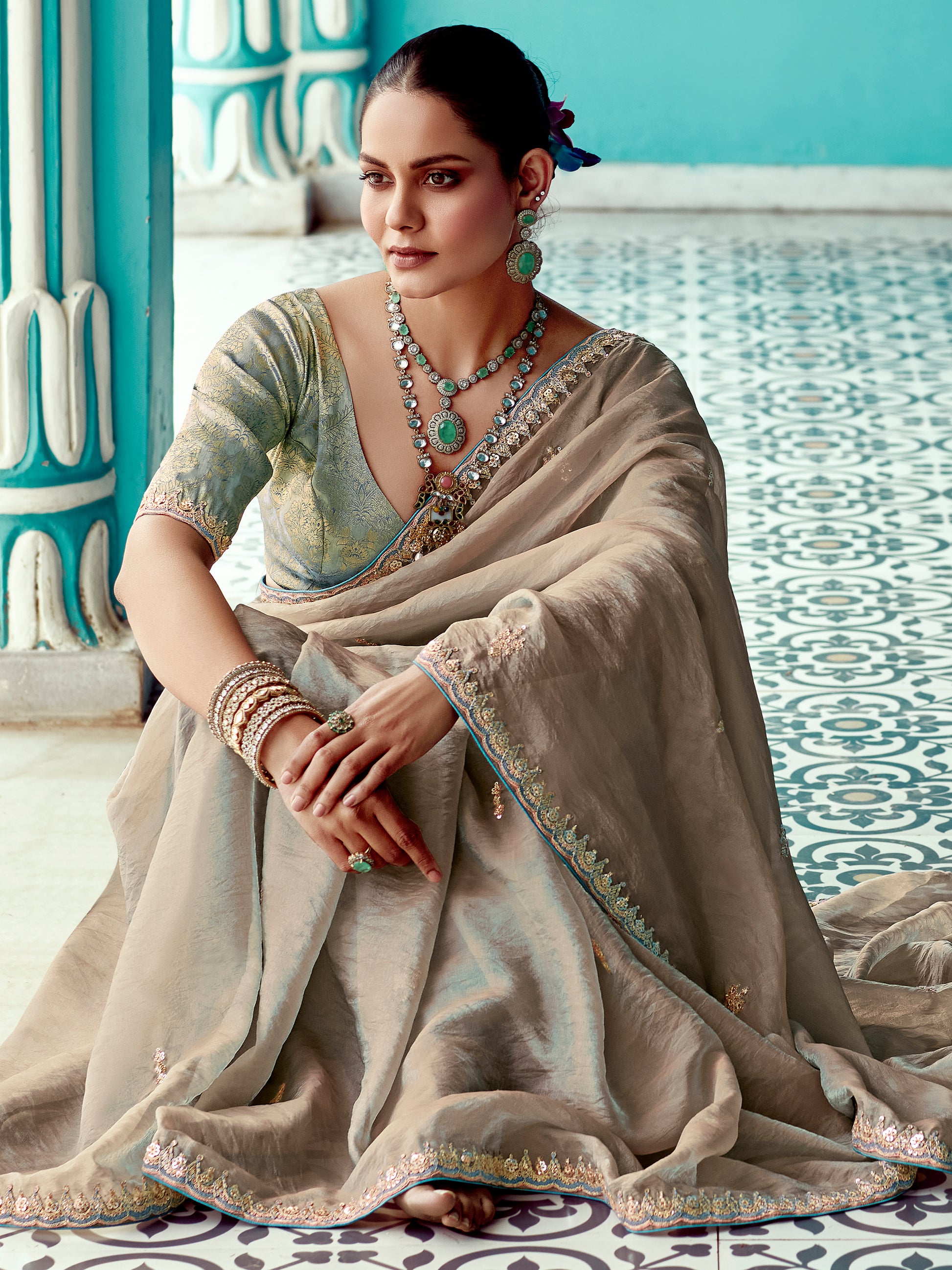 Stunning Beige Embroidered Border Tissue Silk Festive Wear Saree