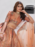 Elegant Rust Orange Embroidered Banarasi Silk Traditional Lehenga Choli