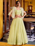 Awesome Pista Green Crushed Designer Crop Top Lehenga With Thread Work Koti