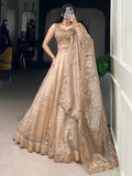 Astonishing Brown Organza Traditional Lehenga Choli With Dupatta