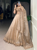 Astonishing Brown Organza Traditional Lehenga Choli With Dupatta