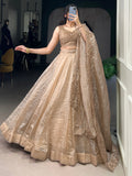 Astonishing Brown Organza Traditional Lehenga Choli With Dupatta