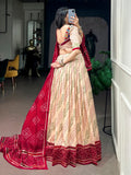Charming Off White Gota Patti Silk Navratri Wear Lehenga Choli
