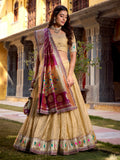 Amazeballs Cream Zari Weaving Silk Festive Wear Lehenga Choli With Dupatta