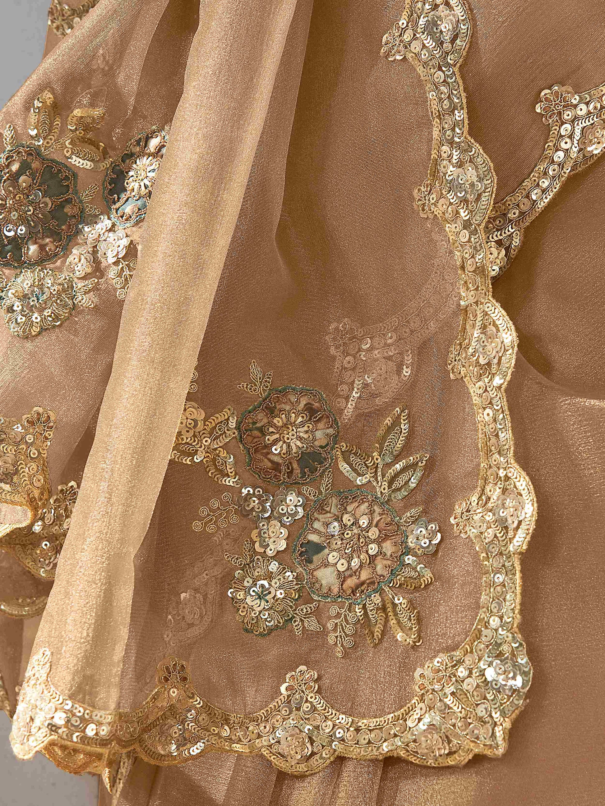 Astonishing Beige Border Work Organza Designer Saree With Blouse