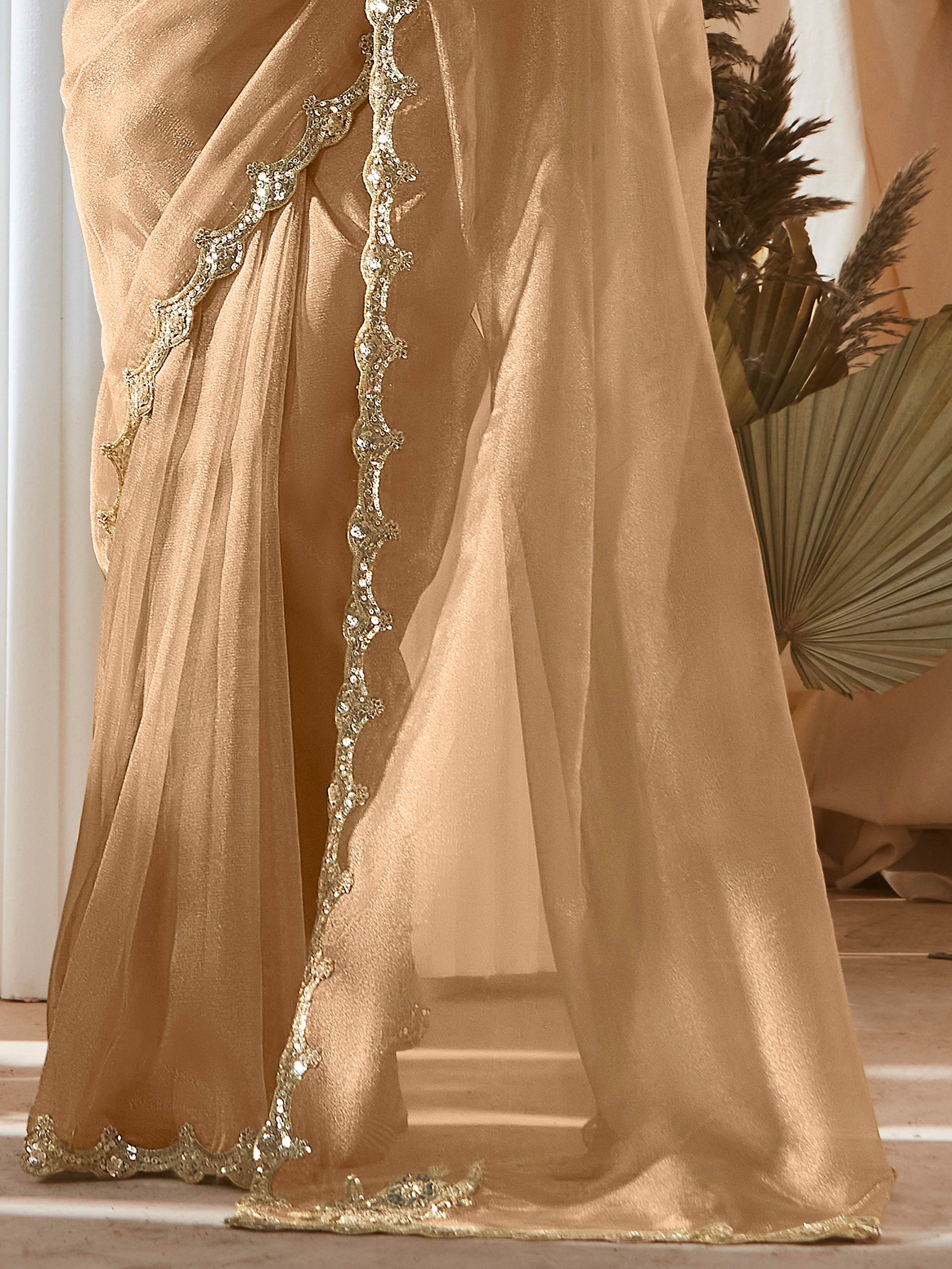 Astonishing Beige Border Work Organza Designer Saree With Blouse