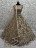 Amazing Golden Zirkon Work Net Engagement Wear Lehenga Choli