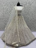 Dazzling Beige Zari Work Net Evening Wear Lehenga Choli With Dupatta