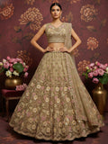 Regal Beige Floral Embroidered Net Sangeet Wear Lehenga With Blouse