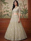 Spectacular Beige Thread Embroidery Net Bridesmaid Lehenga Choli With Dupatta