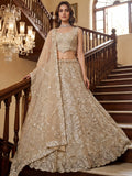 Phenomenal Cream Thread Embroidered Net Reception Wear Lehenga Choli