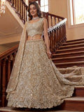 Phenomenal Cream Thread Embroidered Net Reception Wear Lehenga Choli