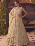 incredible Beige Hand Work Net Sangeet Wear Lehenga Choli With Dupatta