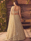 incredible Beige Hand Work Net Sangeet Wear Lehenga Choli With Dupatta