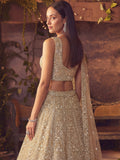 incredible Beige Hand Work Net Sangeet Wear Lehenga Choli With Dupatta