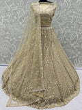 incredible Beige Hand Work Net Sangeet Wear Lehenga Choli With Dupatta