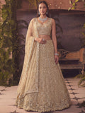 incredible Beige Hand Work Net Sangeet Wear Lehenga Choli With Dupatta