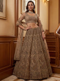 Adorable Beige Dori Work Net Engagement Wear Lehenga Choli With Dupatta