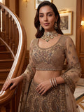 Adorable Beige Dori Work Net Engagement Wear Lehenga Choli With Dupatta