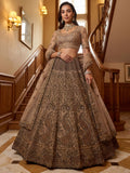 Adorable Beige Dori Work Net Engagement Wear Lehenga Choli With Dupatta