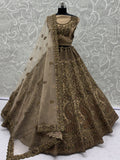 Adorable Beige Dori Work Net Engagement Wear Lehenga Choli With Dupatta