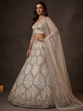 Glowing Off-White Embroidery Net Reception Wear Lehenga Choli with Dupatta