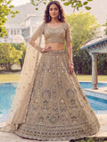 Charming Beige Dori Embroidery Net Reception Wear Lehenga Choli With Dupatta