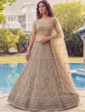 Charming Beige Dori Embroidery Net Reception Wear Lehenga Choli With Dupatta