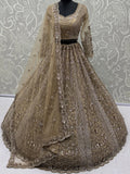 Glowing Beige Embroidery Net Reception Wear Lehenga Choli With Dupatta