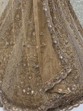 Glowing Beige Embroidery Net Reception Wear Lehenga Choli With Dupatta