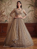Glowing Beige Embroidery Net Reception Wear Lehenga Choli With Dupatta