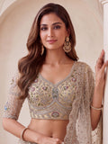 Glowing Beige Handwork Net Engagement Wear Lehenga Choli