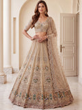 Glowing Beige Handwork Net Engagement Wear Lehenga Choli