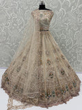 Glowing Beige Handwork Net Engagement Wear Lehenga Choli