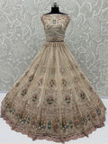 Glowing Beige Handwork Net Engagement Wear Lehenga Choli