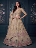 Superb Golden Zari Work Net Reception Wear Lehenga Choli