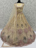 Superb Golden Zari Work Net Reception Wear Lehenga Choli