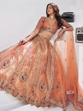 Elegant Rust Orange Embroidered Banarasi Silk Traditional Lehenga Choli