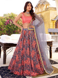 Adorable Grey Floral Embroidered Net Sangeet Wear Lehenga With Blouse