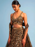 Attractive Brown Sequins Embroidery Net Party Wear Lehenga Choli With Dupatta