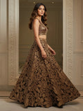 Dreamy Brown Sequins Work Net Sangeet Wear Lehenga Choli With Dupatta