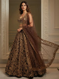 Dreamy Brown Sequins Work Net Sangeet Wear Lehenga Choli With Dupatta