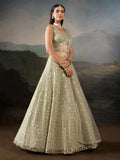Sparkling Green Sequins Work Georgette Wedding Wear Lehenga Choli