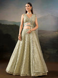 Sparkling Green Sequins Work Georgette Wedding Wear Lehenga Choli