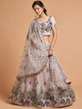 Super Grey Zari Embroidery Net Party Wear Lehenga Choli