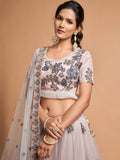 Super Grey Zari Embroidery Net Party Wear Lehenga Choli