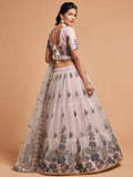 Super Grey Zari Embroidery Net Party Wear Lehenga Choli