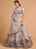 Super Grey Zari Embroidery Net Party Wear Lehenga Choli