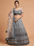 Great Grey Zari Embroidered Net Party Wear Lehenga Choli